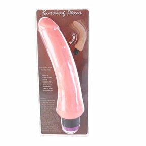 BAILE VIBRATORS VIBRATEUR RÉALISTE 19.5 CM — accessoires inclus
