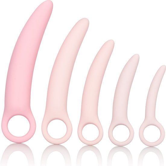 CALEXOTICS Inspire Dilatateur Silicone Ensemble 5 Pièces - Aura Intime