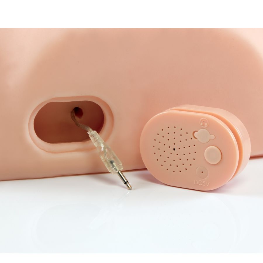 PDX MALE Interactif Baisez- Silly — accessoires inclus