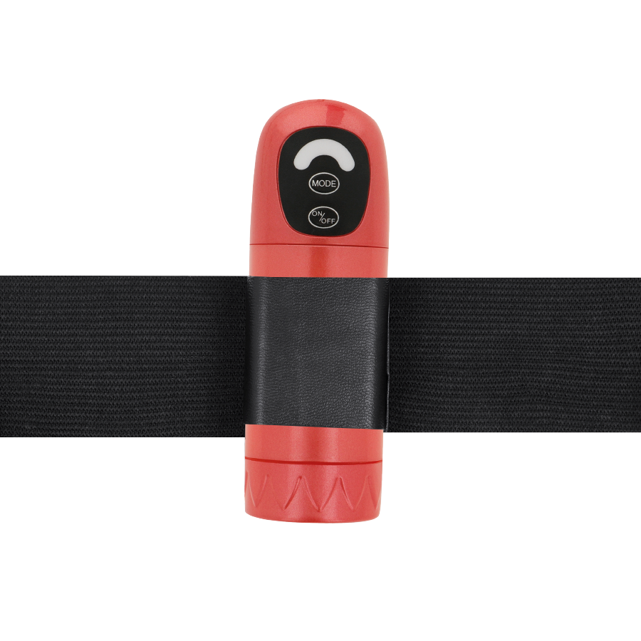 HARNESS ATTRACTION RNES DANIEL VIBRATION ROTATION 18 CM -O- 3.5 CM — vue arrière