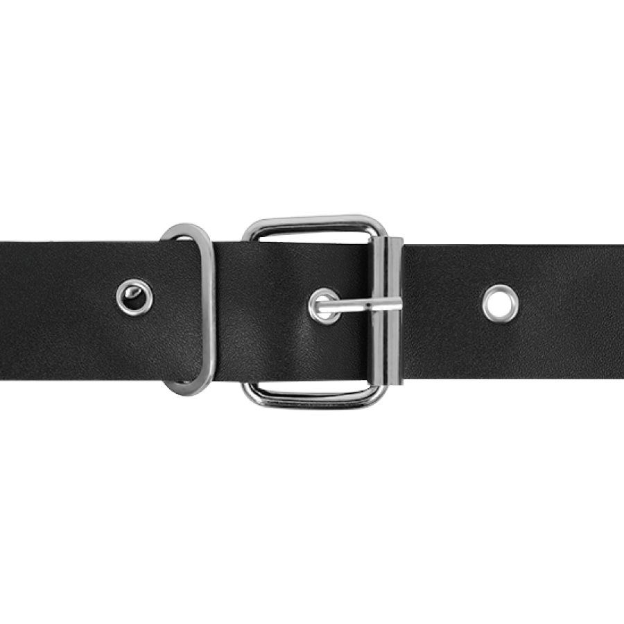 HARNESS ATTRACTION RNES TAYLOR DELUXE 18 CM -O- 4.5 CM — vue arrière