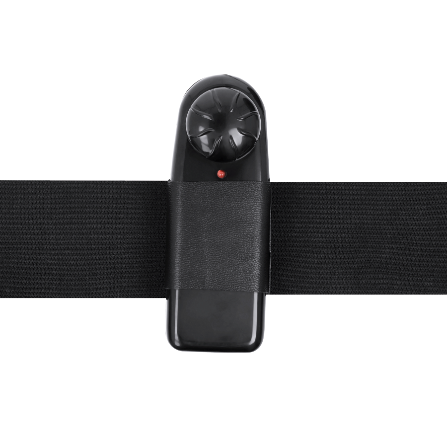 HARNESS ATTRACTION GREGORY HOLLOW RNES VIBRATEUR 16.5 CM -O- 4.3 CM — accessoires inclus