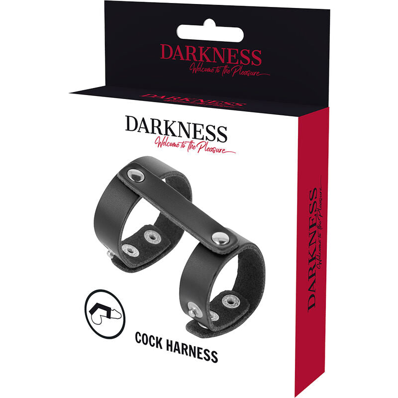 DARKNESS BONDAGE ANNEAU PÉNIS TESTICULES RÉGLABLE CUIR — accessoires inclus
