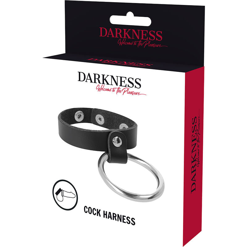 DARKNESS BONDAGE ANNEAU MÉTALLIQUE PÉNIS TESTICULES — accessoires inclus