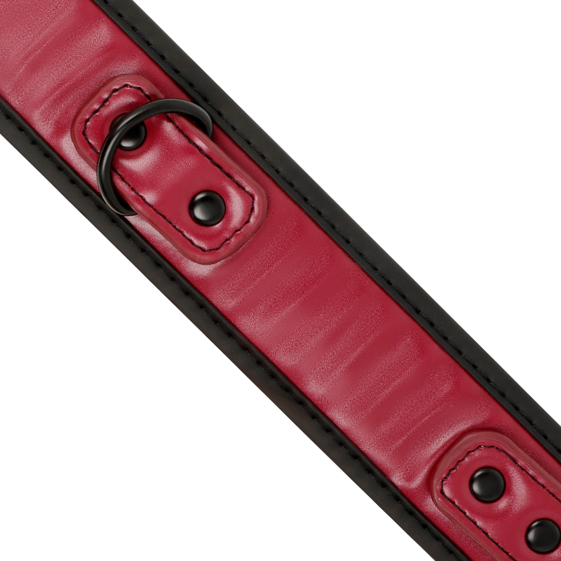 FETISH SUBMISSIVE DARK ROOM Collier Chaîne Doublure Néoprène — vue arrière
