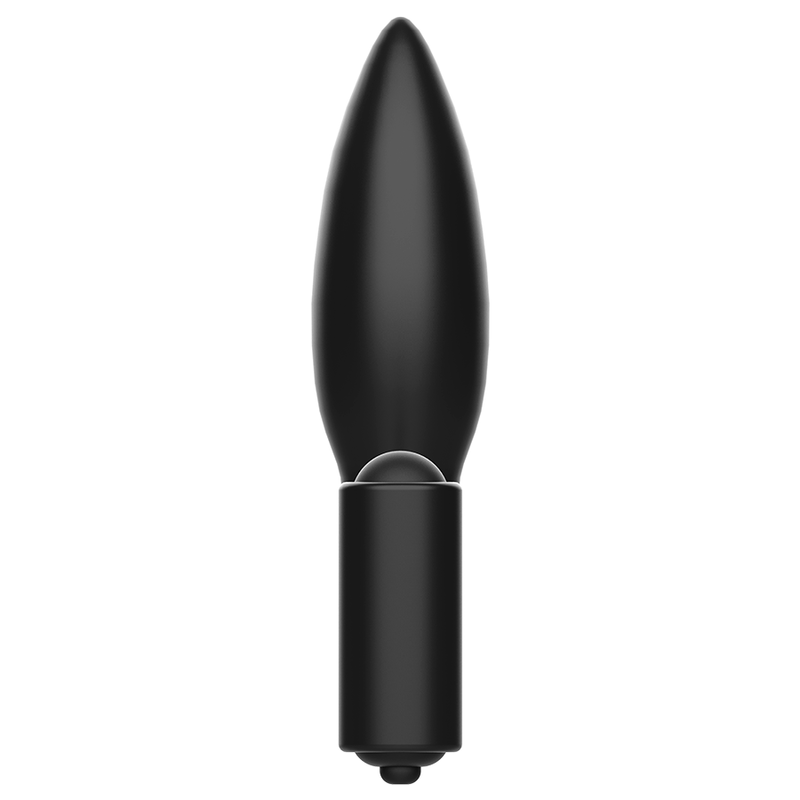 ADDICTED TOYS Plug Anal Anneau Vibrant — accessoires inclus